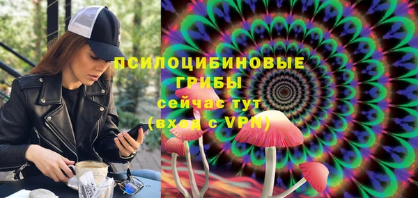 дживик Абаза