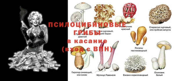 ECSTASY Алексеевка
